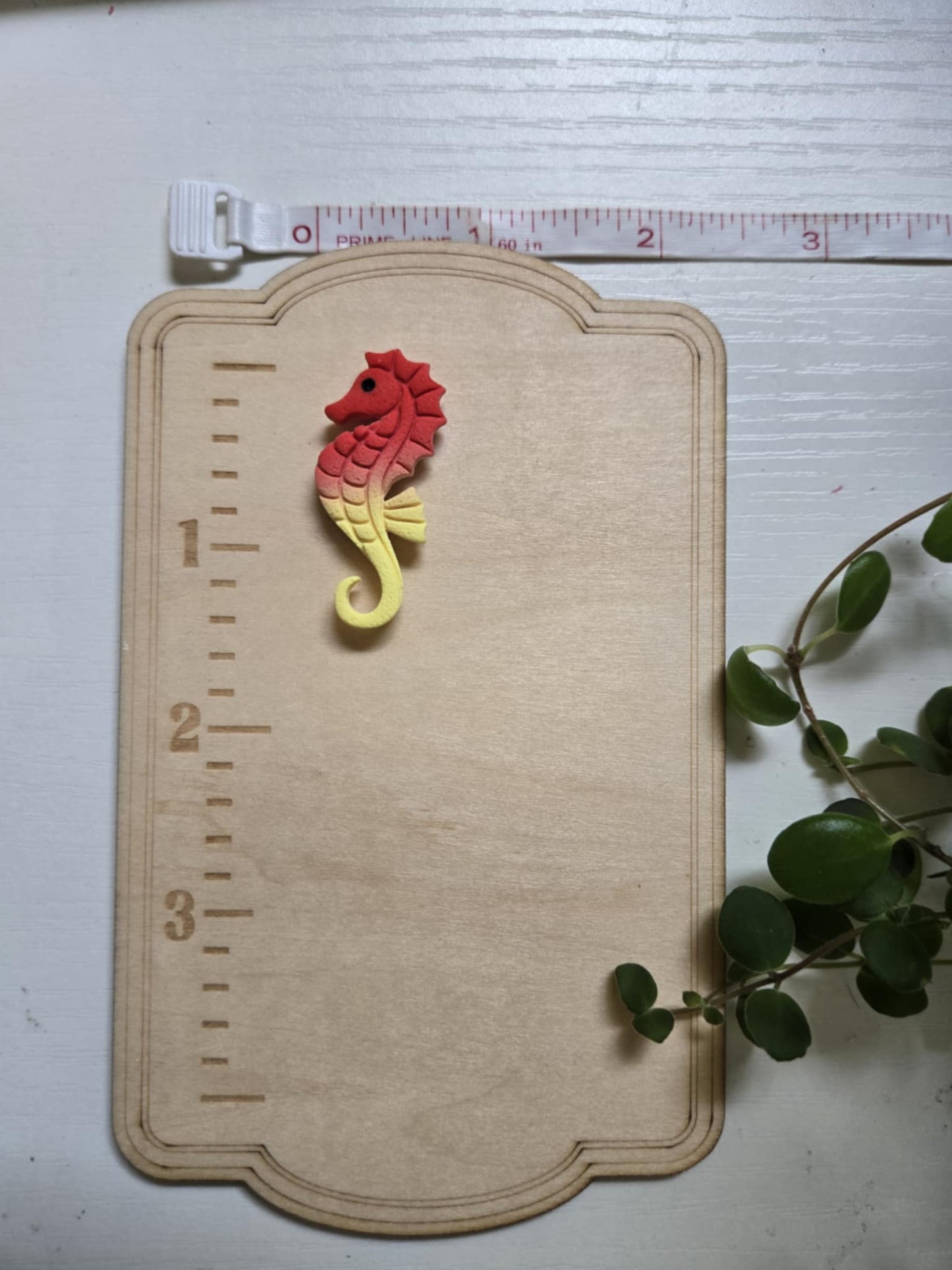 Seahorse Needle Minder