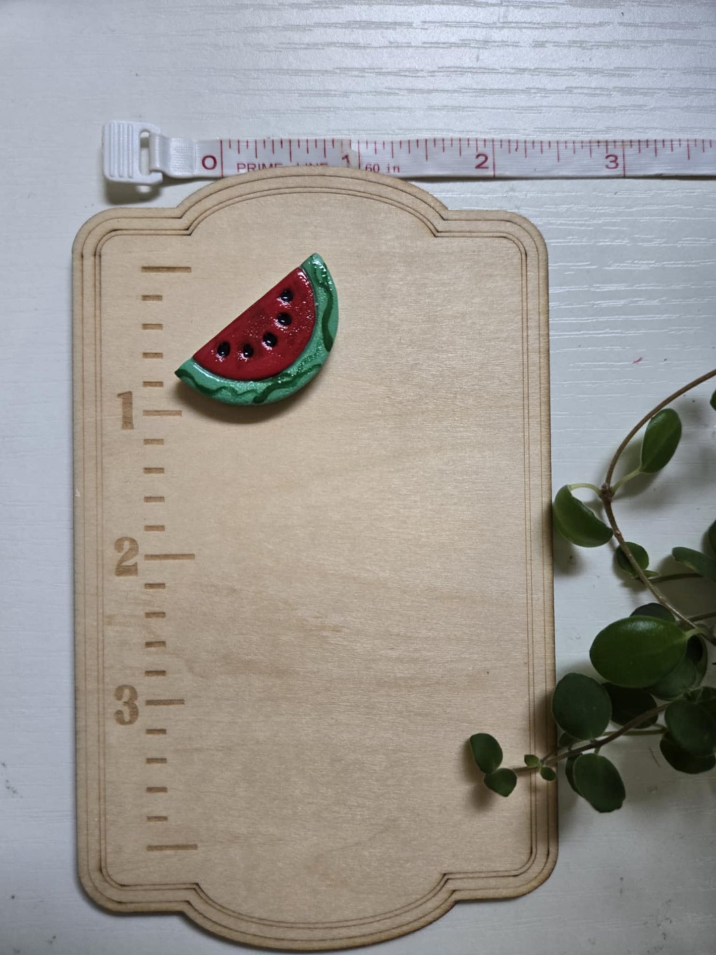 Watermelon Slice Needle Minder