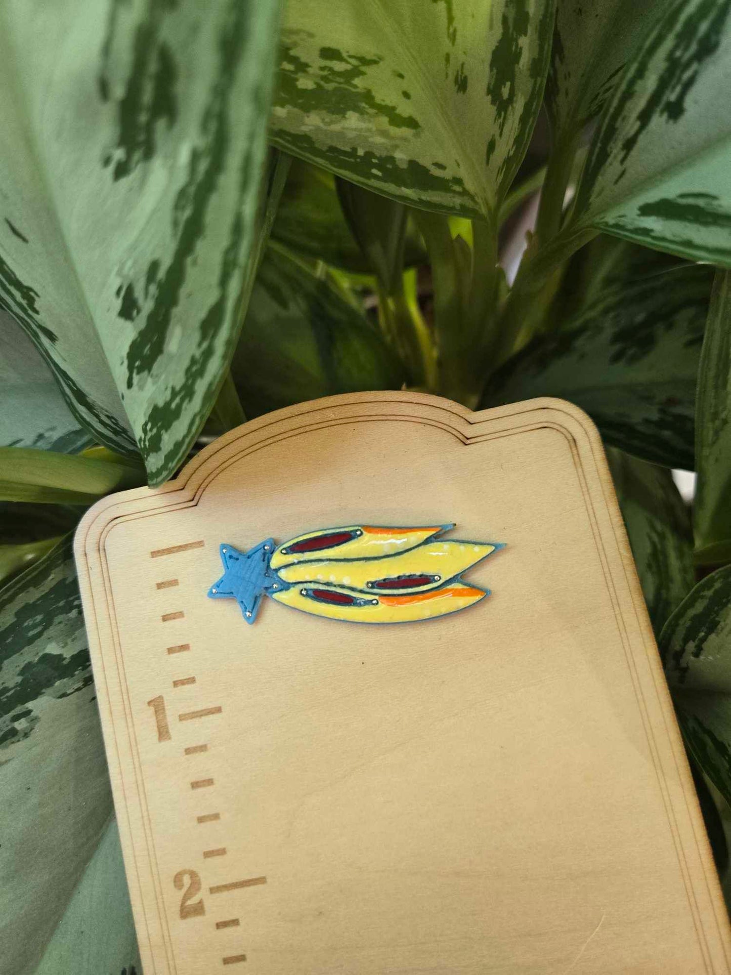 Shooting Star Needle Minder